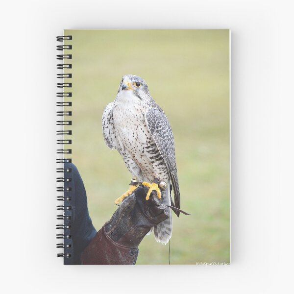 Item preview, Falcon designed and sold by Nature's Reflections.