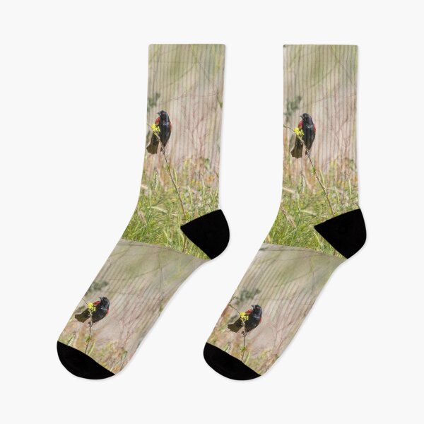 Item preview, Red-winged Blackbird designed and sold by CarolM.