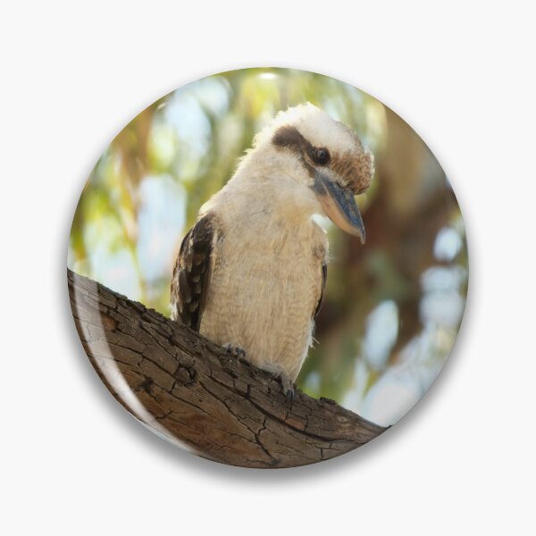 Item preview, Laughing Kookaburra - Dacelo novaeguineae designed and sold by clearviewstock.
