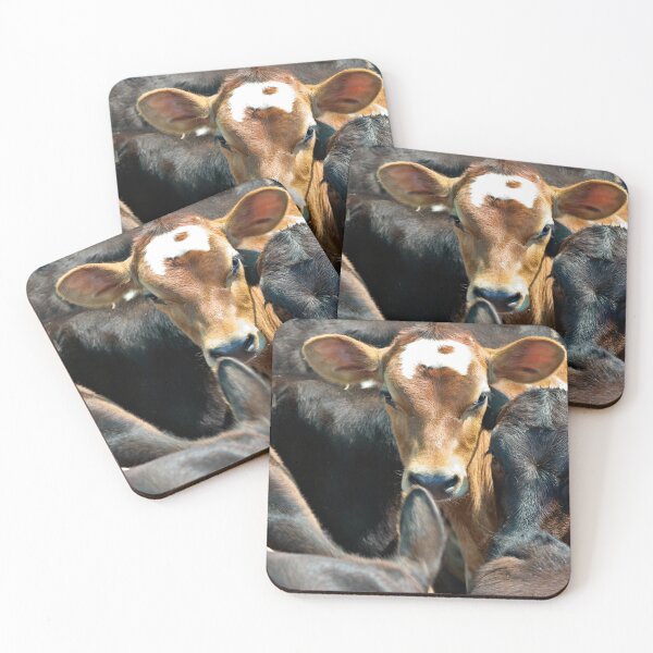 Item preview, Terneros en un corral de engorde designed and sold by clearviewstock.
