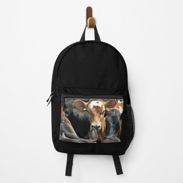 Item preview, Calves in a feedlot designed and sold by clearviewstock.