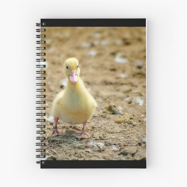 Item preview, Duckling's first steps designed and sold by clearviewstock.