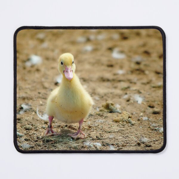 Item preview, Duckling's first steps designed and sold by clearviewstock.