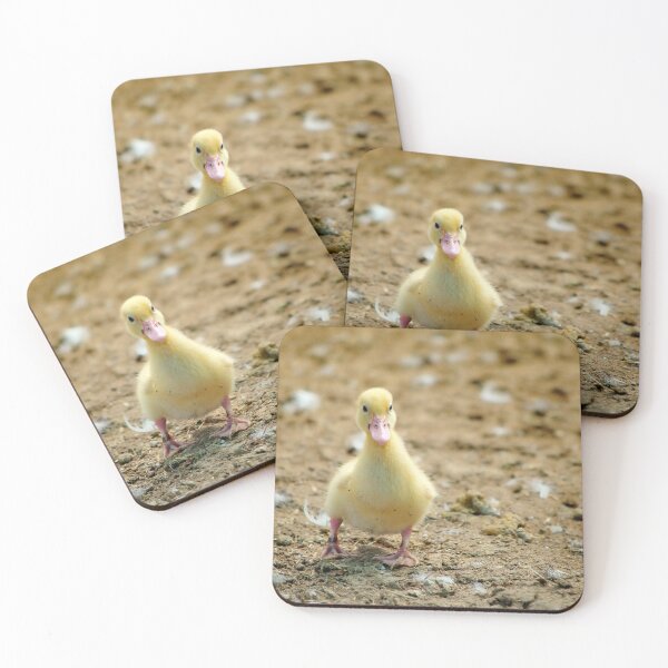 Item preview, Duckling's first steps designed and sold by clearviewstock.