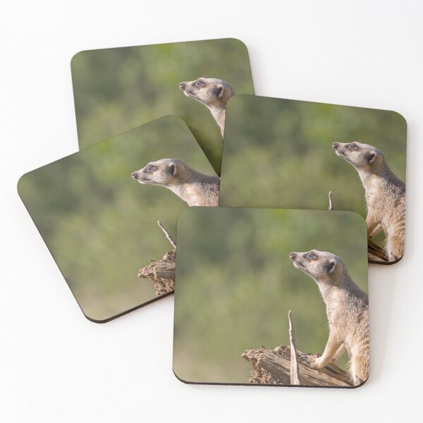Item preview, meerkat on guard designed and sold by clearviewstock.
