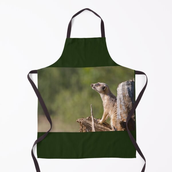 Item preview, meerkat on guard designed and sold by clearviewstock.