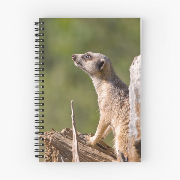 Item preview, meerkat on guard designed and sold by clearviewstock.