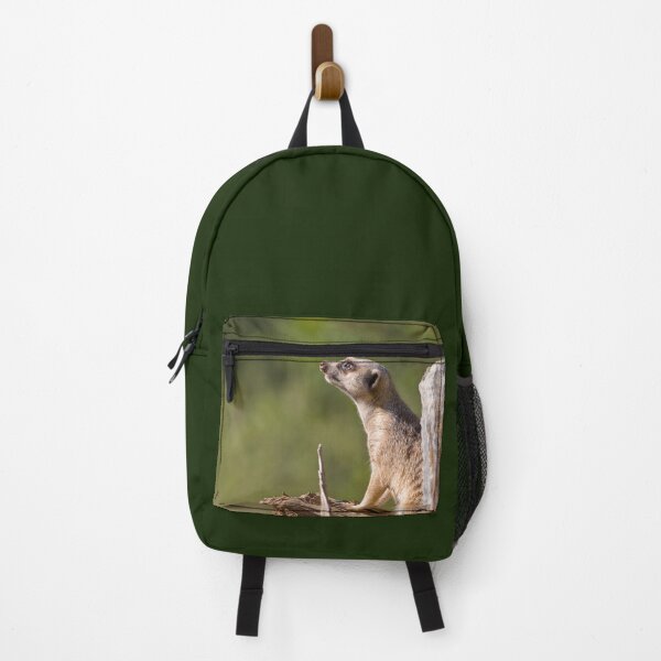Item preview, meerkat on guard designed and sold by clearviewstock.