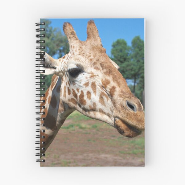 Item preview, Up close and personal - a nosy giraffe at eye level designed and sold by clearviewstock.
