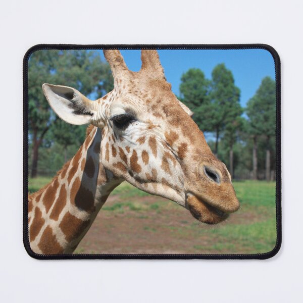 Item preview, Up close and personal - a nosy giraffe at eye level designed and sold by clearviewstock.
