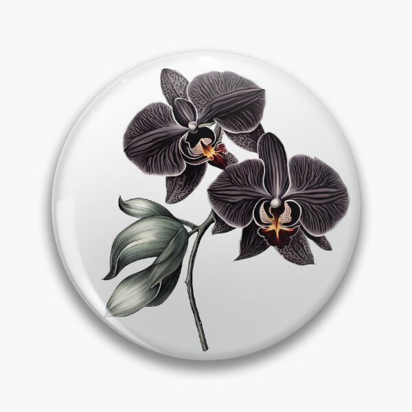 Item preview, The Black Orchid designed and sold by LanaGustavsson.