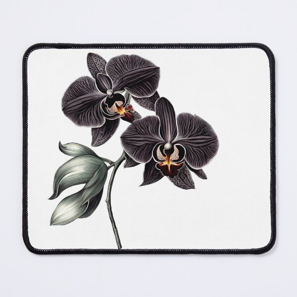 Item preview, The Black Orchid designed and sold by LanaGustavsson.