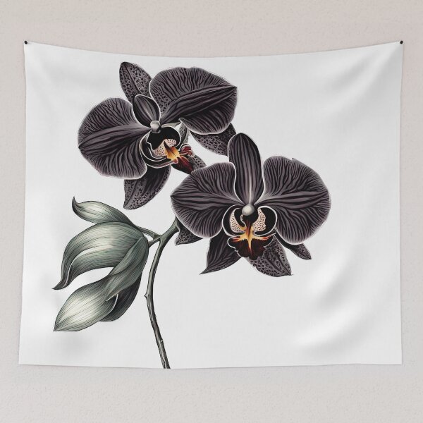 Item preview, The Black Orchid designed and sold by LanaGustavsson.