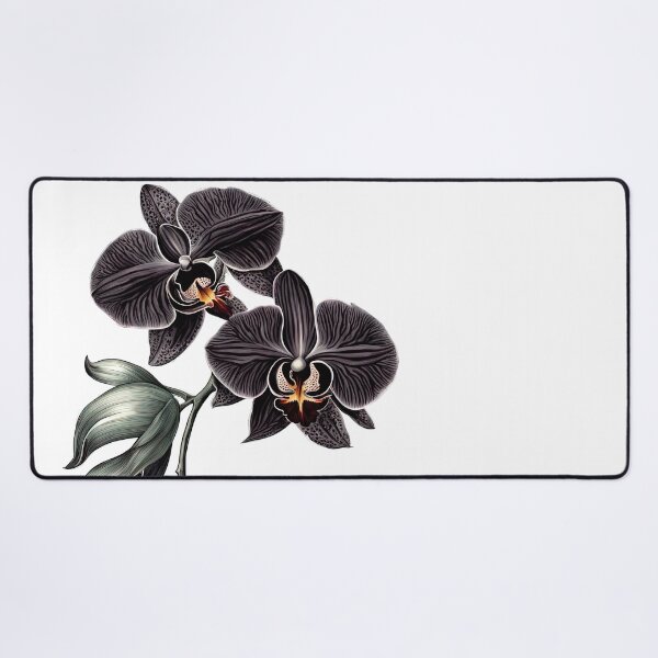 Item preview, The Black Orchid designed and sold by LanaGustavsson.