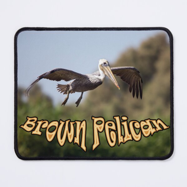 Item preview, Brown Pelican designed and sold by CarolM.