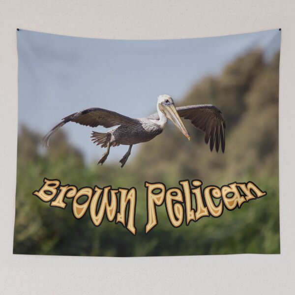 Item preview, Brown Pelican designed and sold by CarolM.
