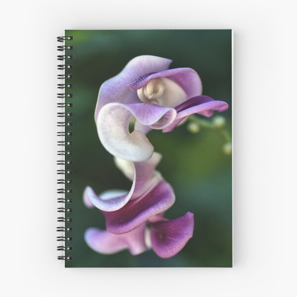 Item preview, Corkscrew designed and sold by Joy Watson - Natural Light Photography .