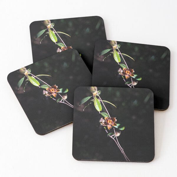 Item preview, Rainforest Flower, Far North Queensland designed and sold by Kate Powick.