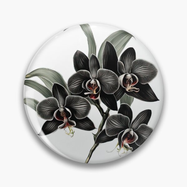 Item preview, The Black Orchid designed and sold by LanaGustavsson.