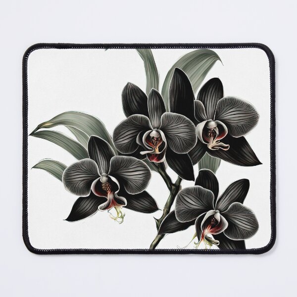 Item preview, The Black Orchid designed and sold by LanaGustavsson.