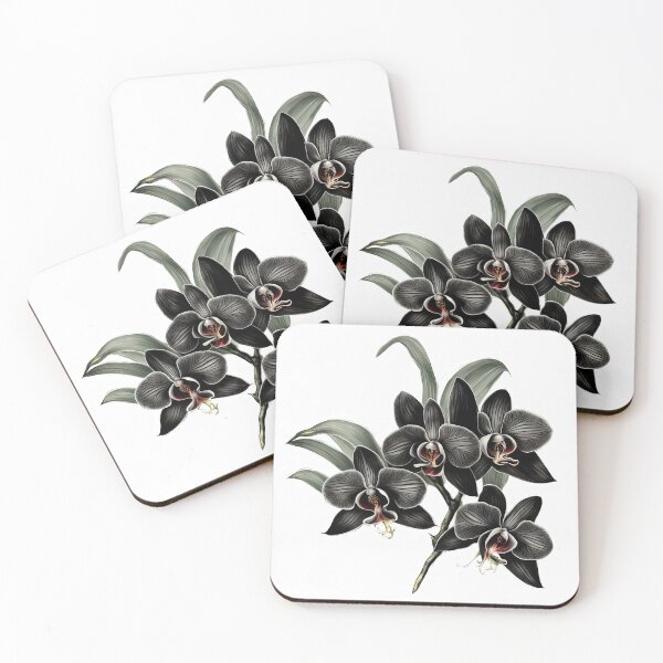 Item preview, The Black Orchid designed and sold by LanaGustavsson.