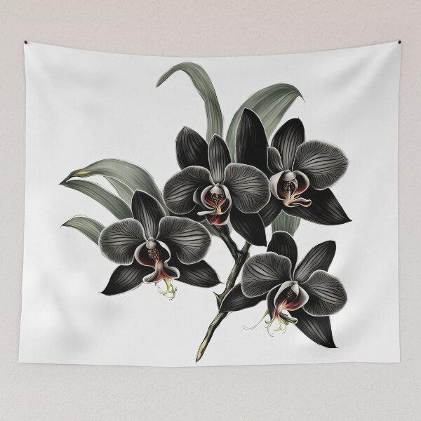 Item preview, The Black Orchid designed and sold by LanaGustavsson.