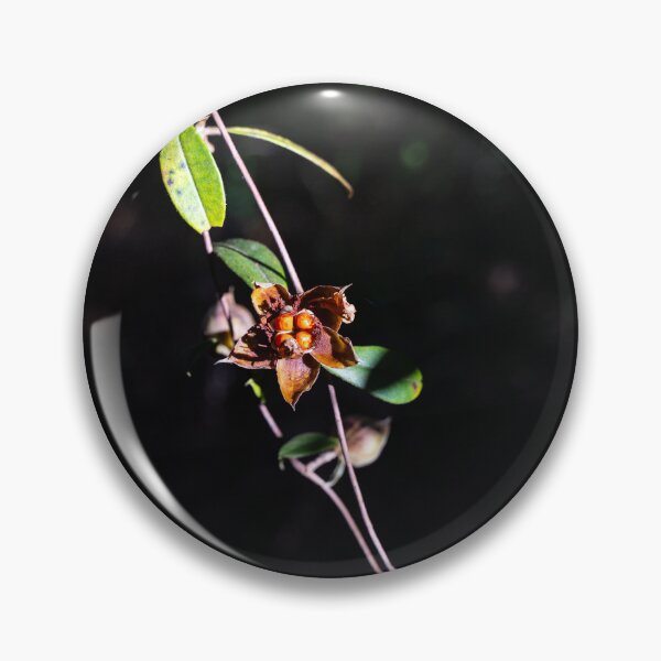 Item preview, Rainforest Flower, Far North Queensland designed and sold by Kate Powick.