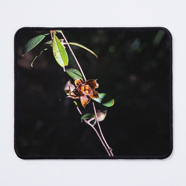 Item preview, Rainforest Flower, Far North Queensland designed and sold by Kate Powick.