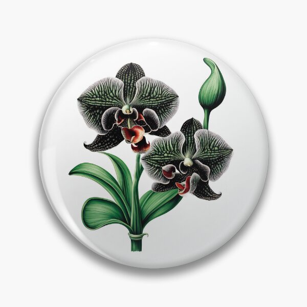 Item preview, The Black Orchid designed and sold by LanaGustavsson.