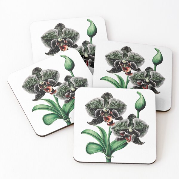Item preview, The Black Orchid designed and sold by LanaGustavsson.