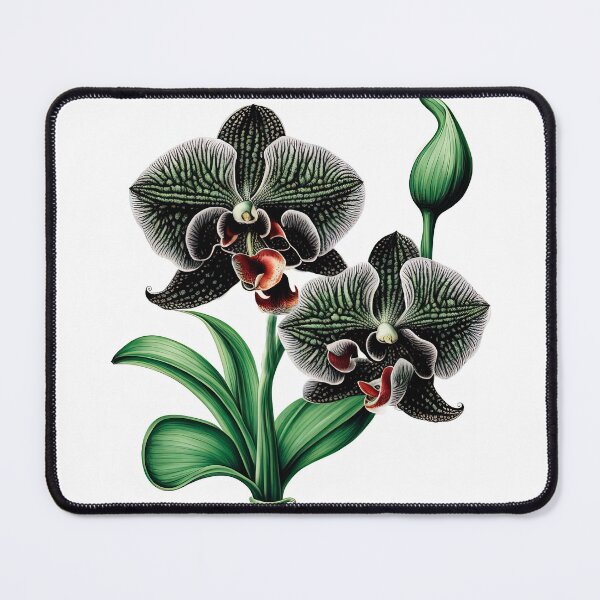 Item preview, The Black Orchid designed and sold by LanaGustavsson.