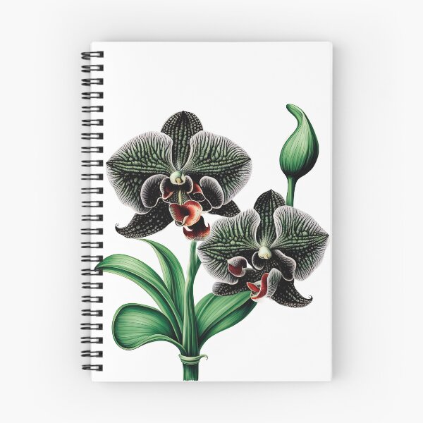 Item preview, The Black Orchid designed and sold by LanaGustavsson.