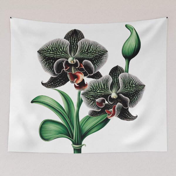 Item preview, The Black Orchid designed and sold by LanaGustavsson.