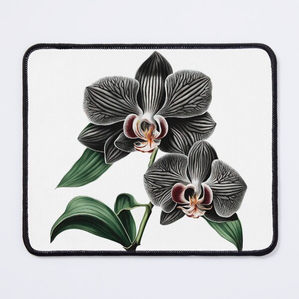 Item preview, The Black Orchid designed and sold by LanaGustavsson.