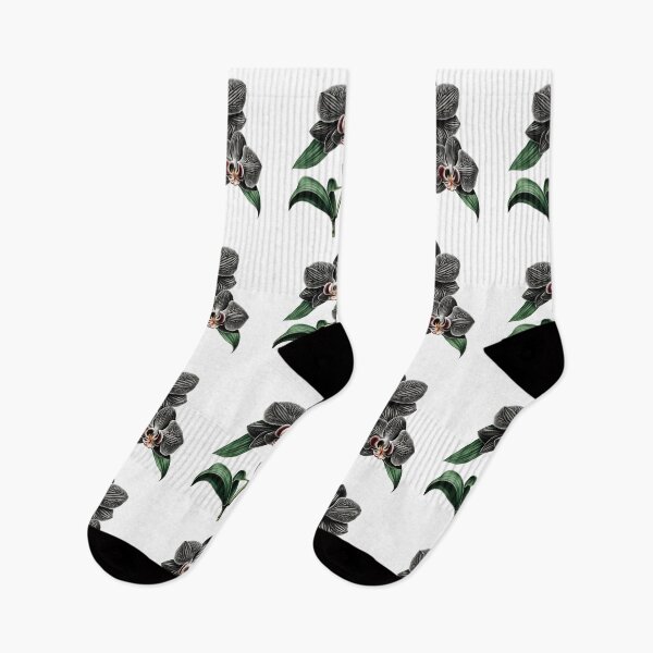 Item preview, The Black Orchid designed and sold by LanaGustavsson.
