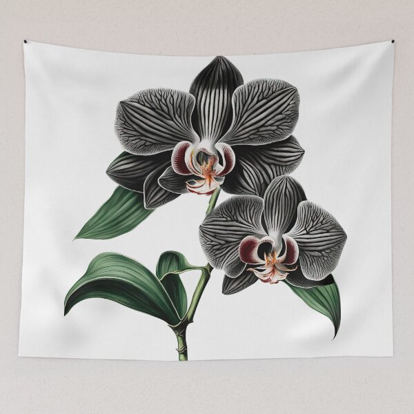 Item preview, The Black Orchid designed and sold by LanaGustavsson.