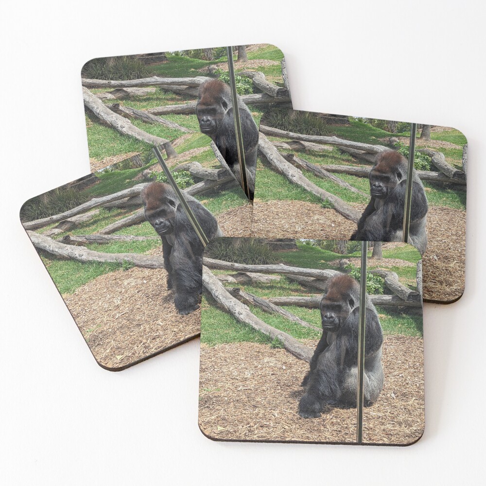 Item preview, Coasters (Set of 4) designed and sold by russelldearest.