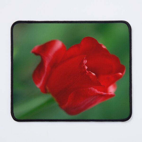 Item preview, Red tulips on nature background designed and sold by olena2552.