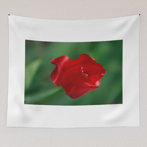 Item preview, Red tulips on nature background designed and sold by olena2552.