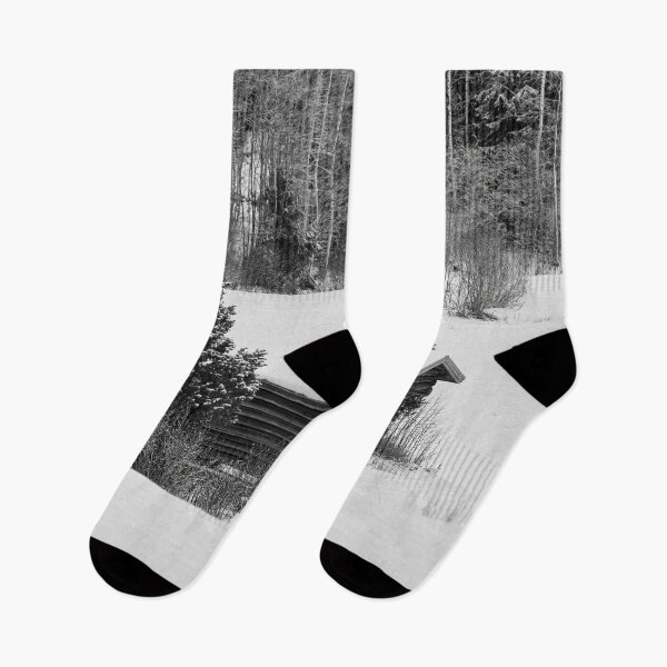 Item preview, The barn And Junipers. Parkkuu Nov23 bw designed and sold by Jouko Lehto Photography.