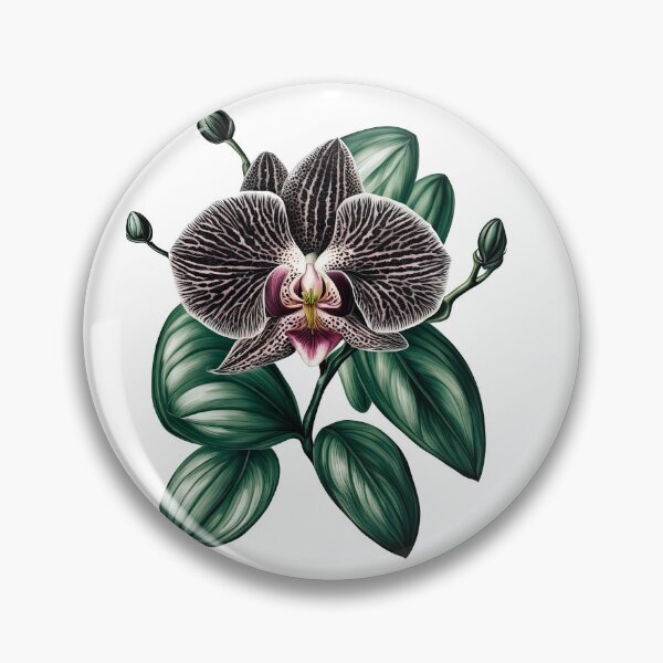 Item preview, The Black Orchid designed and sold by LanaGustavsson.
