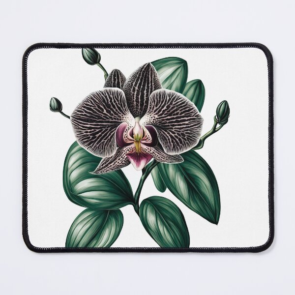 Item preview, The Black Orchid designed and sold by LanaGustavsson.
