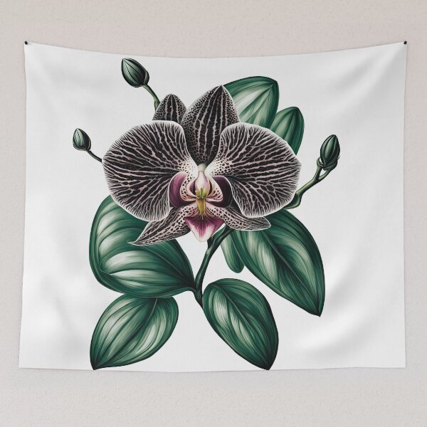 Item preview, The Black Orchid designed and sold by LanaGustavsson.