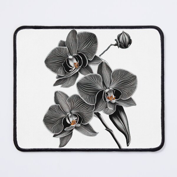 Item preview, The Black Orchid designed and sold by LanaGustavsson.