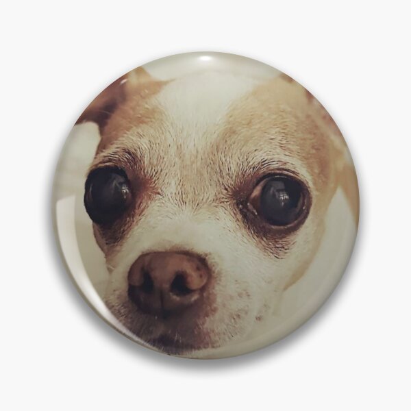 Item preview, Chihuahua  designed and sold by MirStation-72.