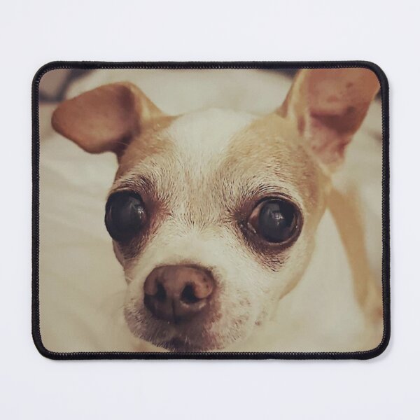 Item preview, Chihuahua  designed and sold by MirStation-72.
