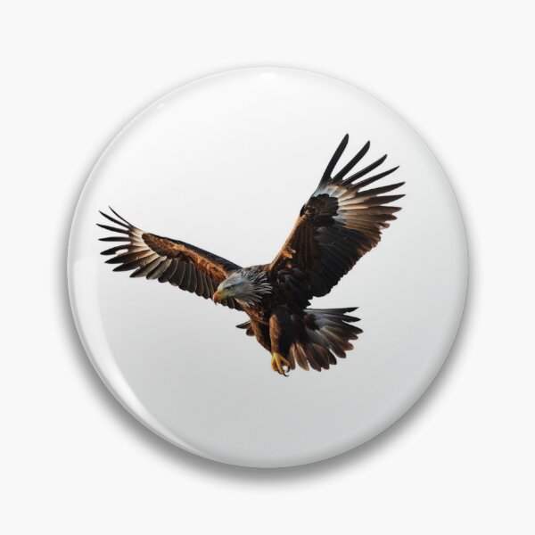 Item preview, The Eagle sticker designed and sold by NatalieArtiste.
