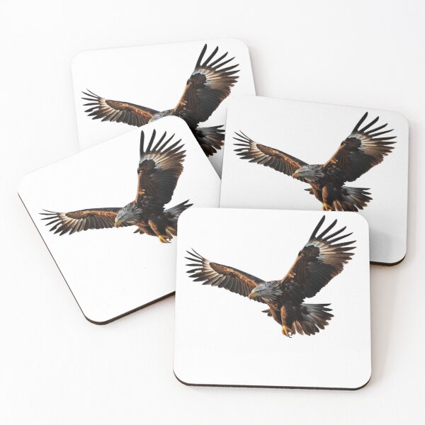 Item preview, The Eagle sticker designed and sold by NatalieArtiste.