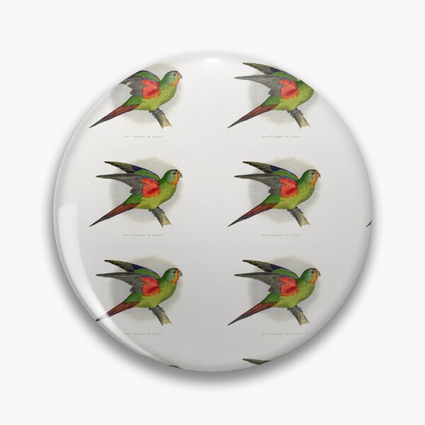 Item preview, Swift Parrakeet or Lorikeet designed and sold by Suzana Djordjevic.