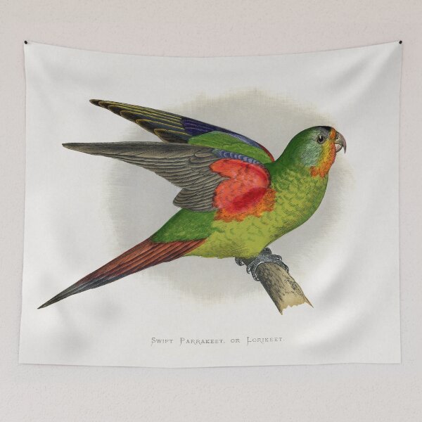 Item preview, Swift Parrakeet or Lorikeet designed and sold by Suzana Djordjevic.